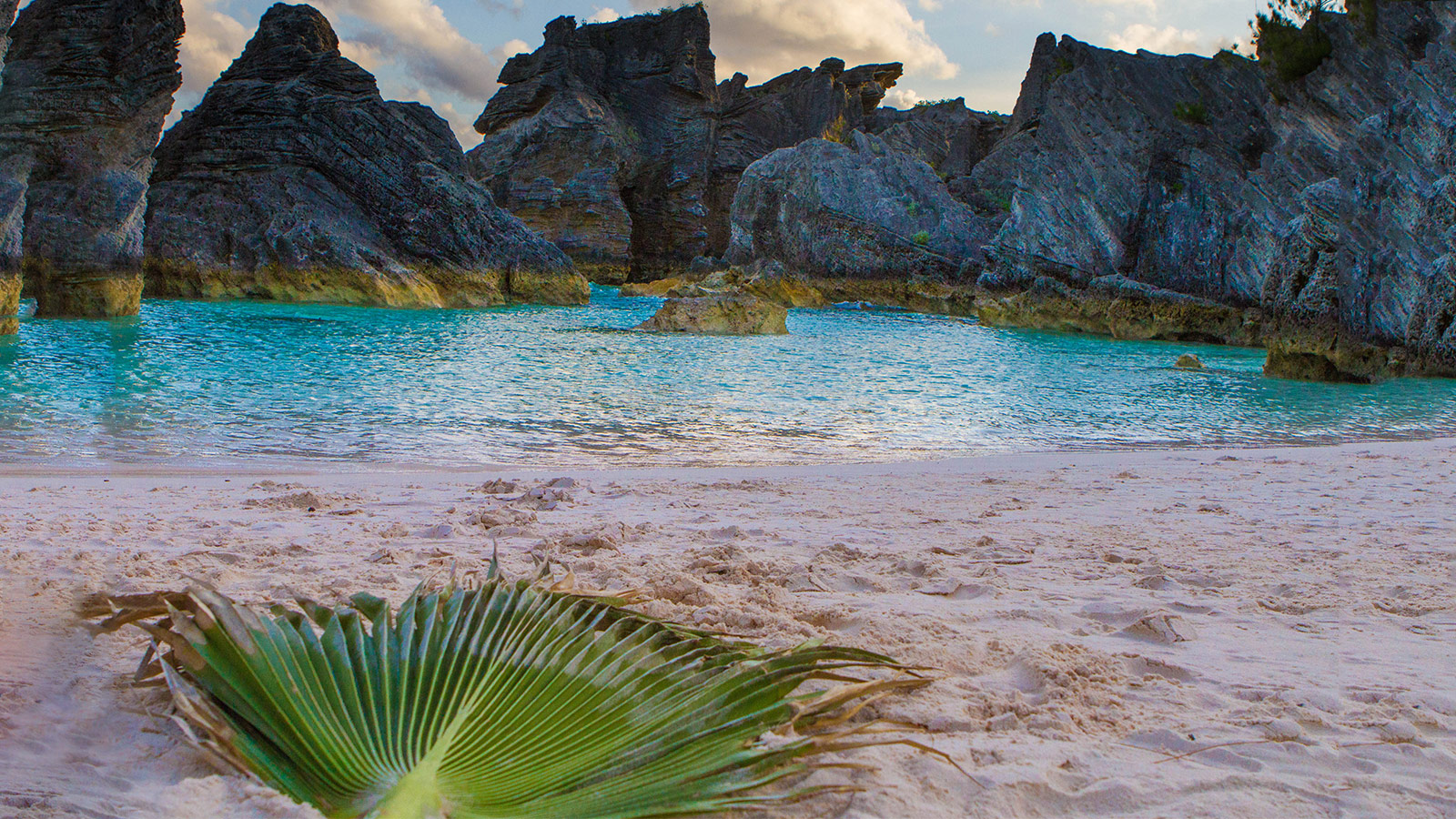 Bermuda Travel Deals  Pink sand beach bermuda, Pink sand beach