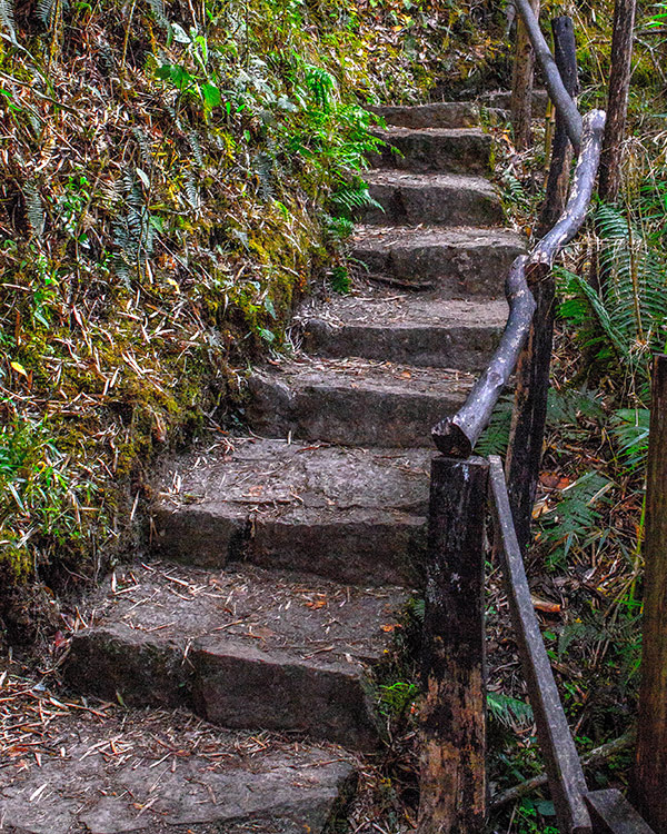 Uneven stone stairs up the side of a mountain on the way to the lost city of gold in Guatavita Colombia with kids