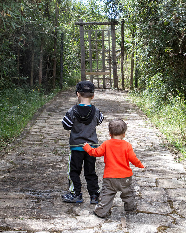 Two young brothers walk together up a path towards a gate searching for the Lost City of Gold in Guatavita Colombia with Kids