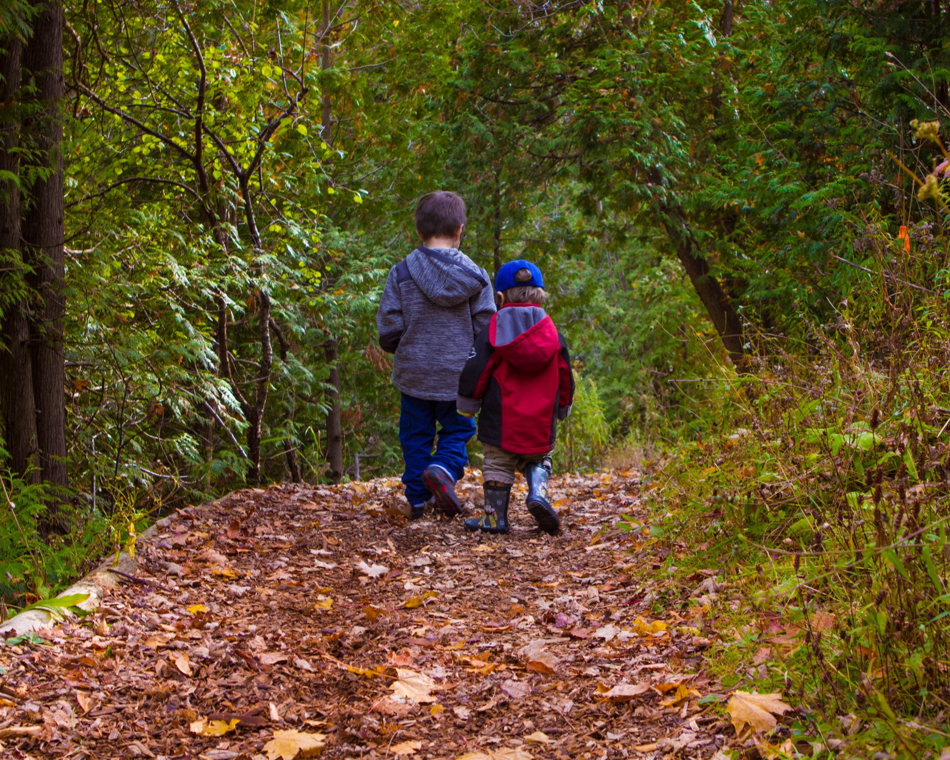 Two boys walking through the woods