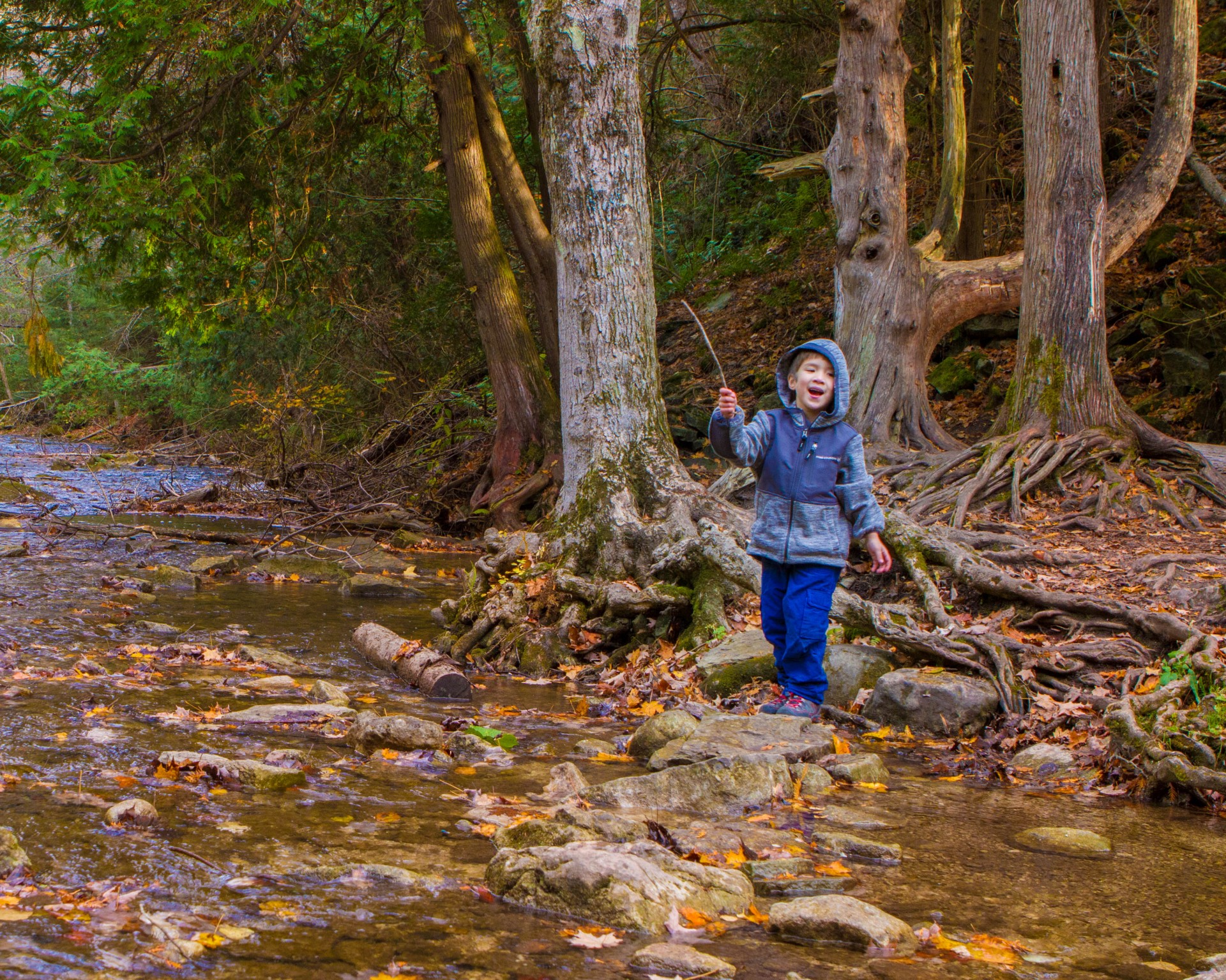 Boy plays with a stick by a creek