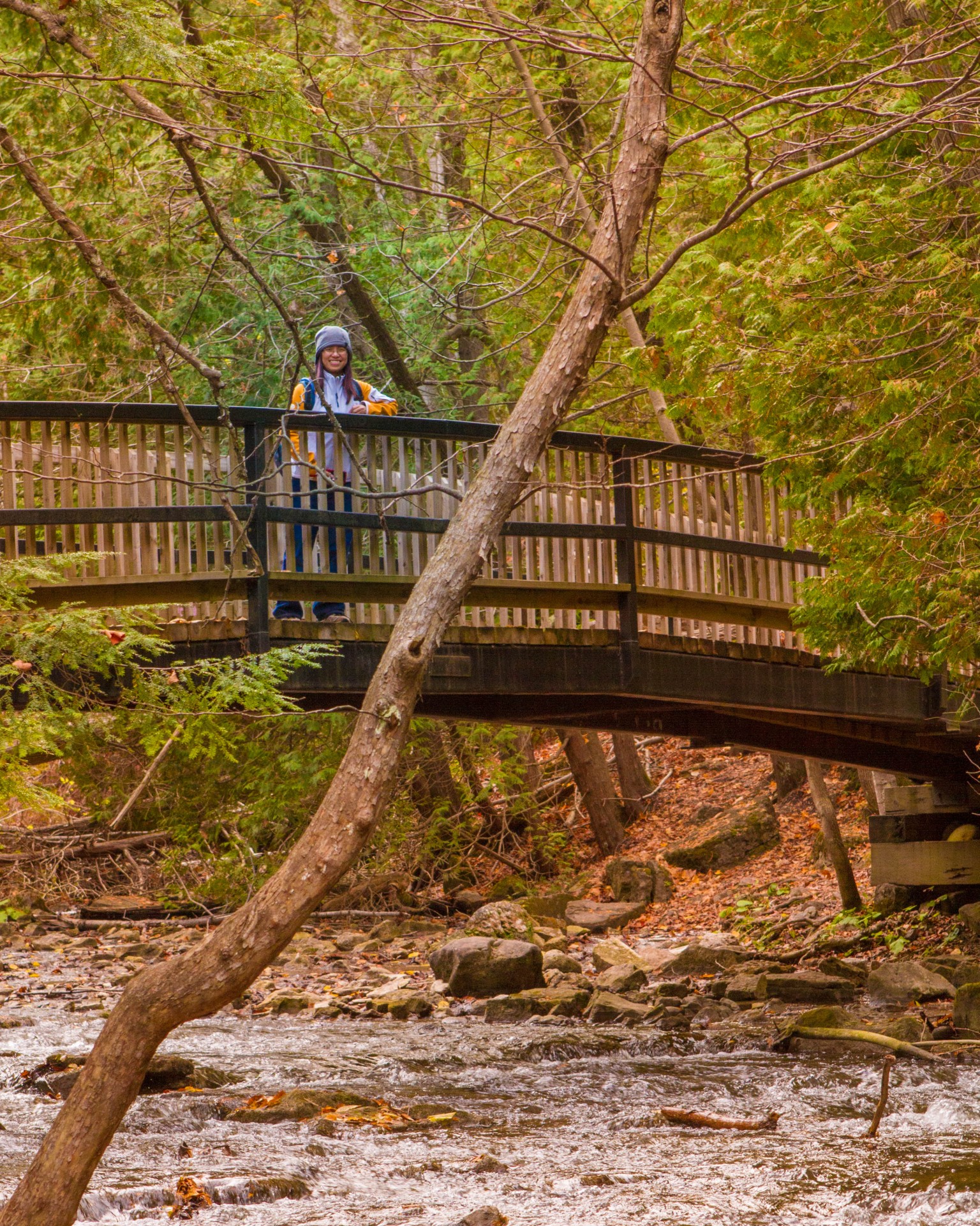 A woman stands on a bridge over a creek