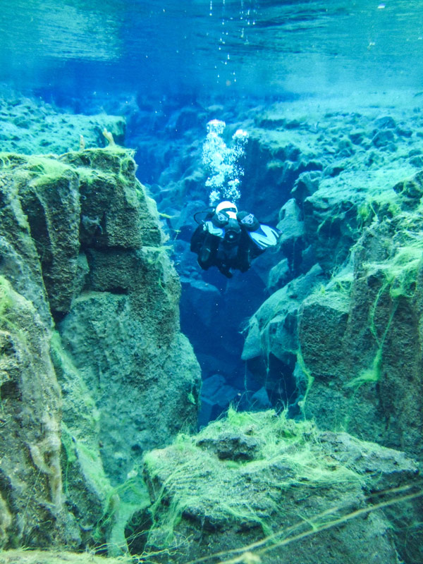 A SCUBA diver swims between two tectonic plates in Silfra Iceland. The walls of the Silfra crack are covered in neon green algae