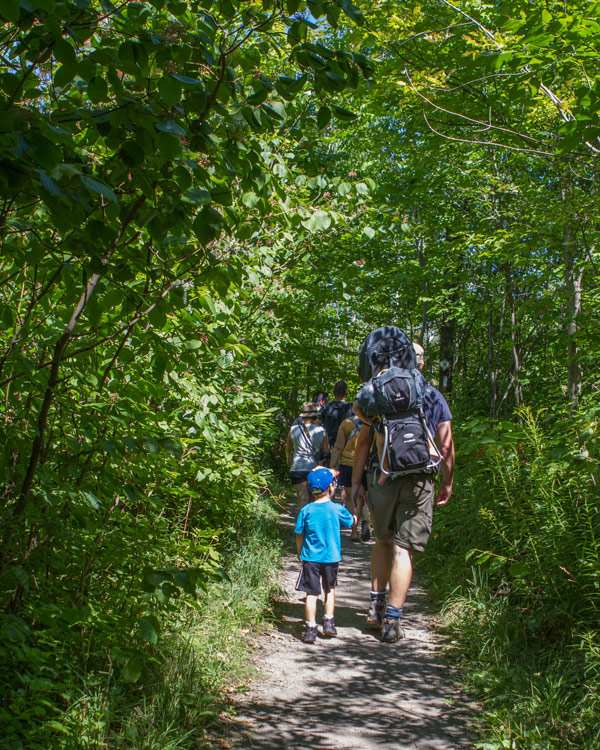 A father and son hiking through the woods - Limehouse Conservation Area