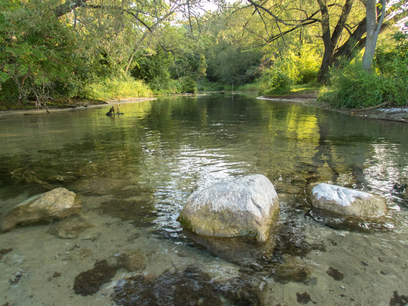 A peaceful river surrounded by trees near sites for camping in Mara Provincial Park
