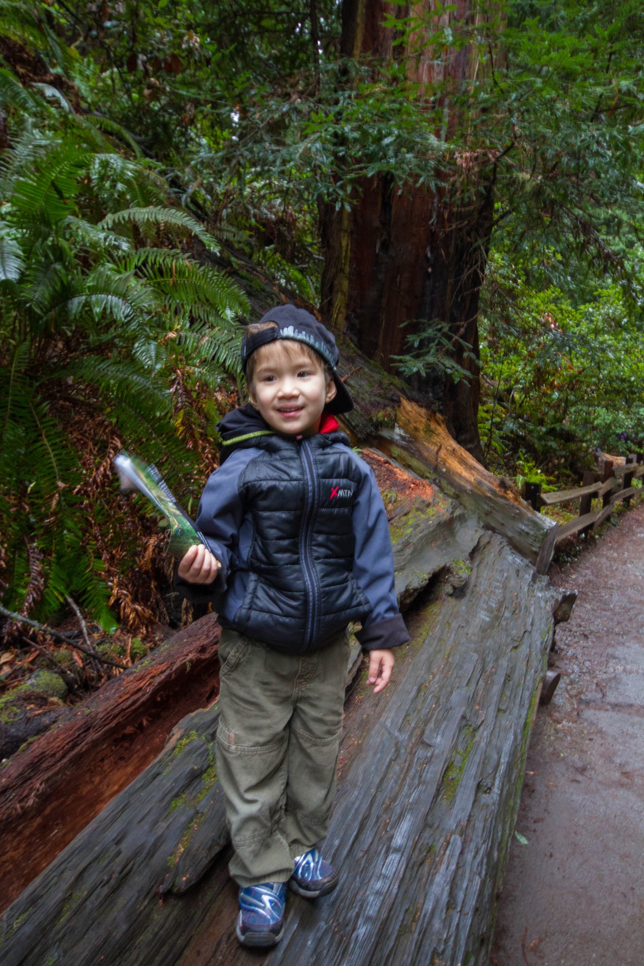 Boy on fallen trunk in Muir Woods National Monument