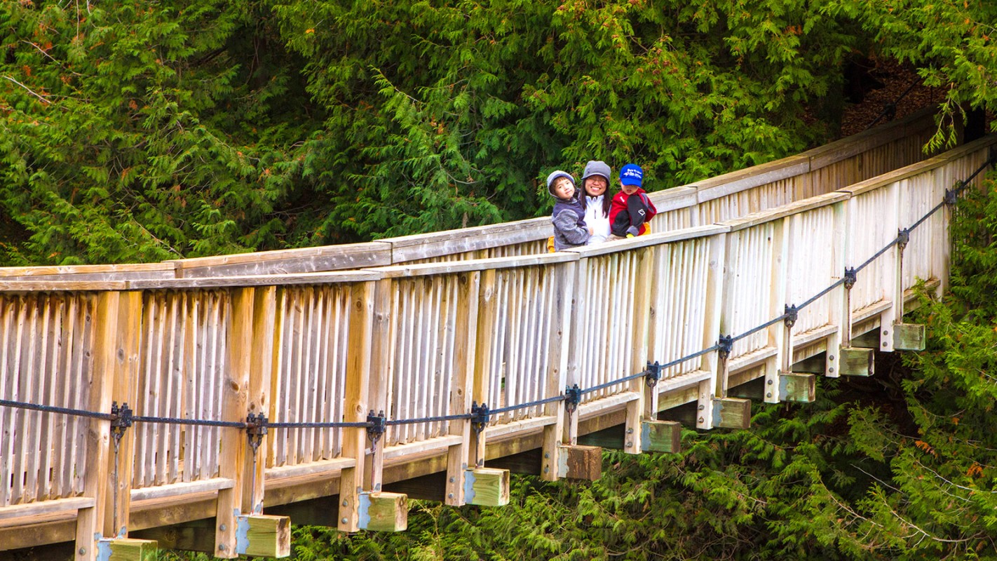 Belfountain, Ontario How To Explore This Charming Town Adventure