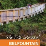 The Fall Colours of Belfountain - Pinterest