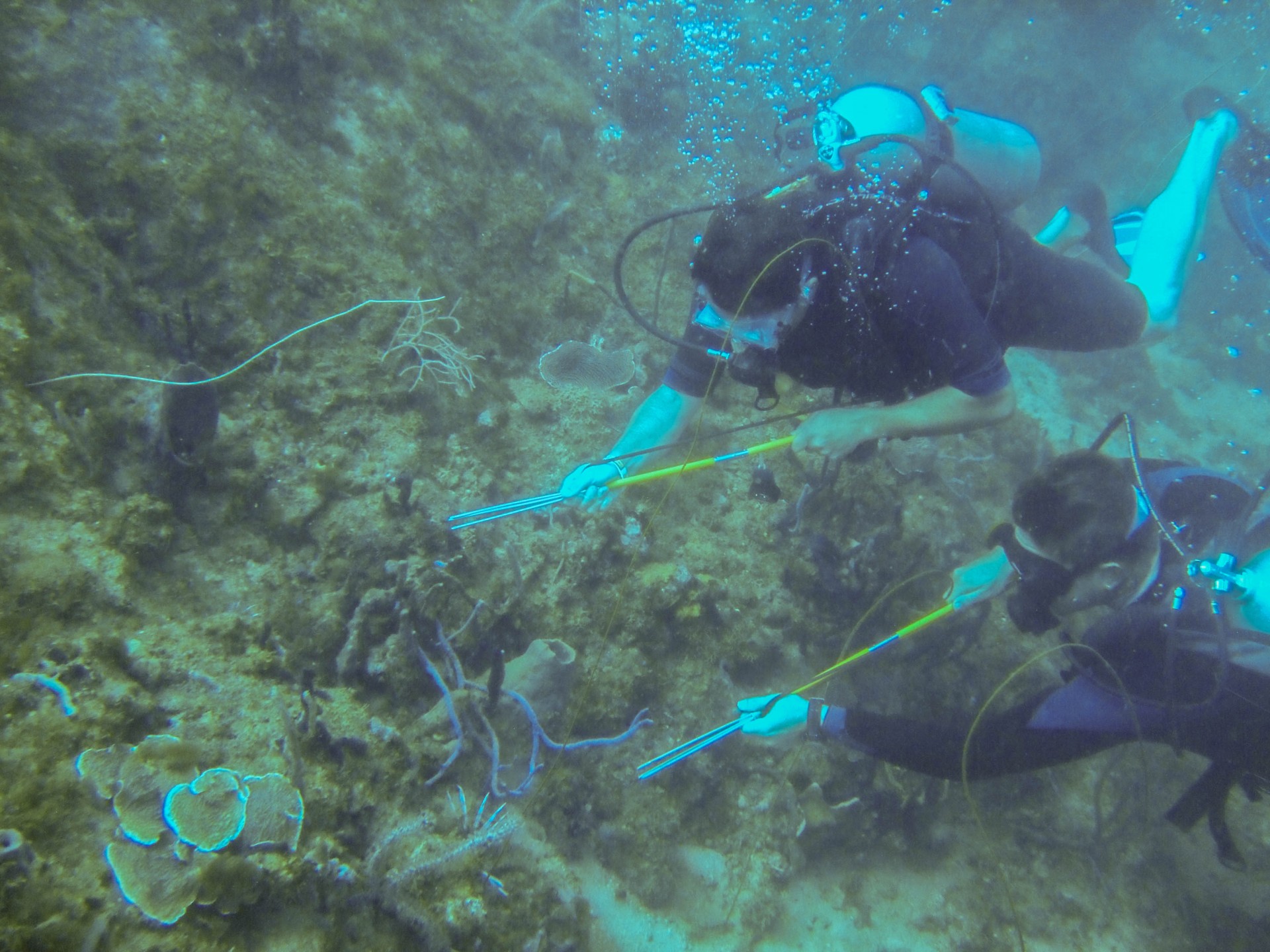 SCUBA divers hunt for lionfish in Grenada