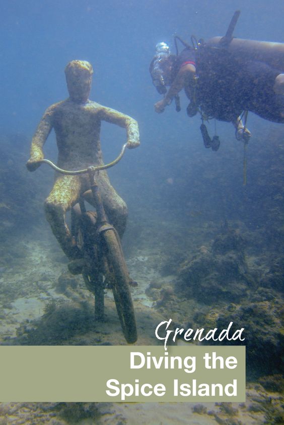 Grenada Diving the Spice Island - Pinterest