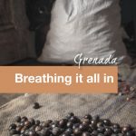Grenada Breathing it all in - Pinterest