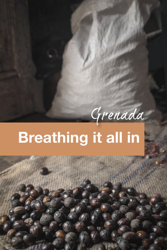 Grenada Breathing it all in - Pinterest