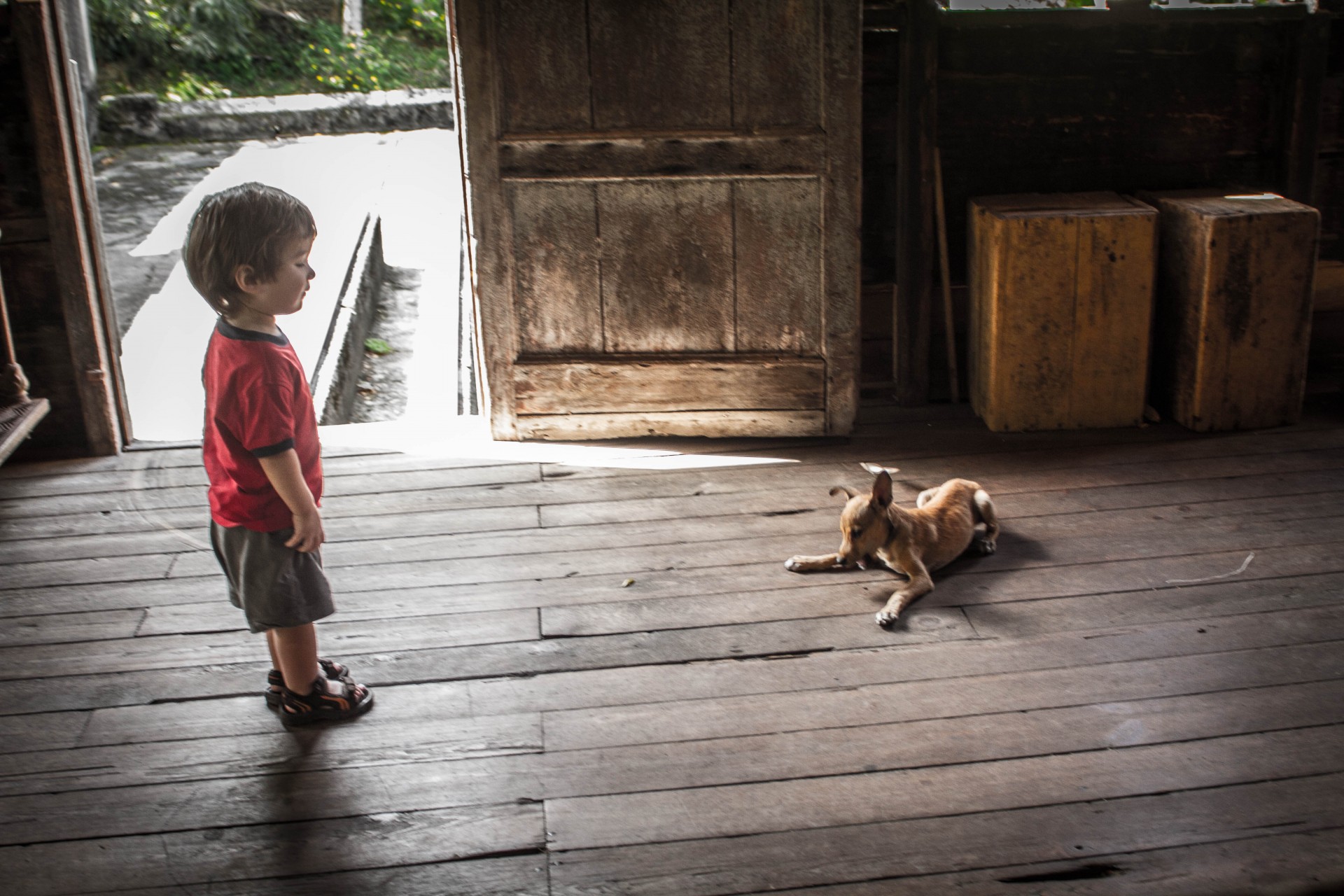 Grenada Tour -C and the Dog