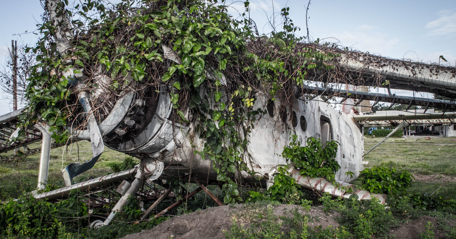 Grenada Tour - Reclaimed by Nature