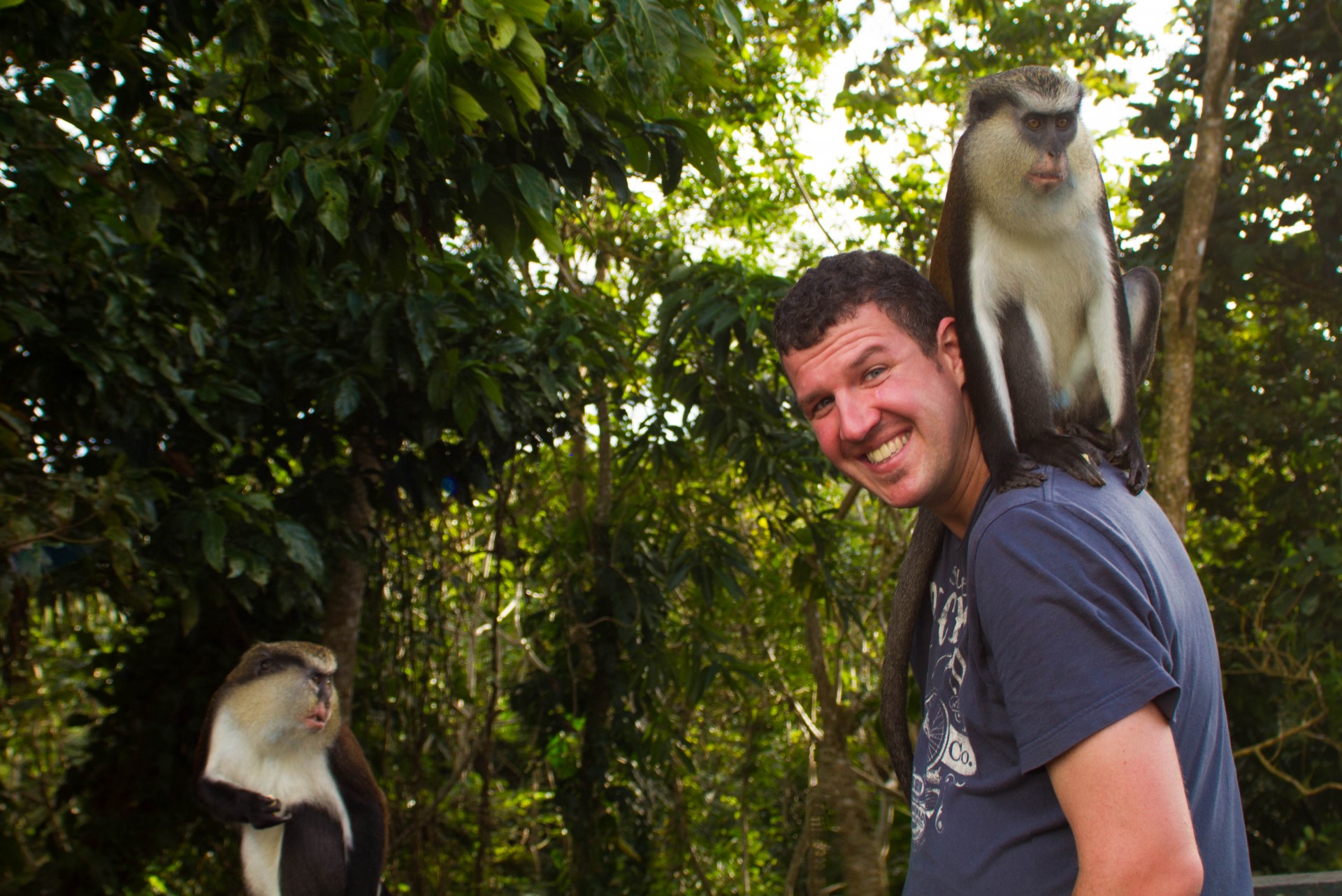 Grenada Tour - Close Encounters with the Furry Kind