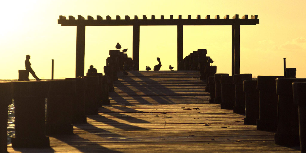 A silhouette of a pier in Mexcico with a man, a pelican and some seagulls