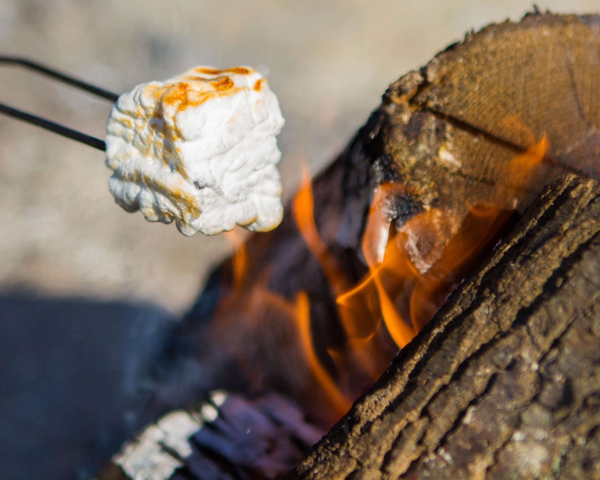 Icewine marshmallow roasting on an open fire