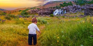 Iceland isn't just a playground for adults, there is so much to do in Iceland for kids. Check out some of the best things to do in Iceland for families.