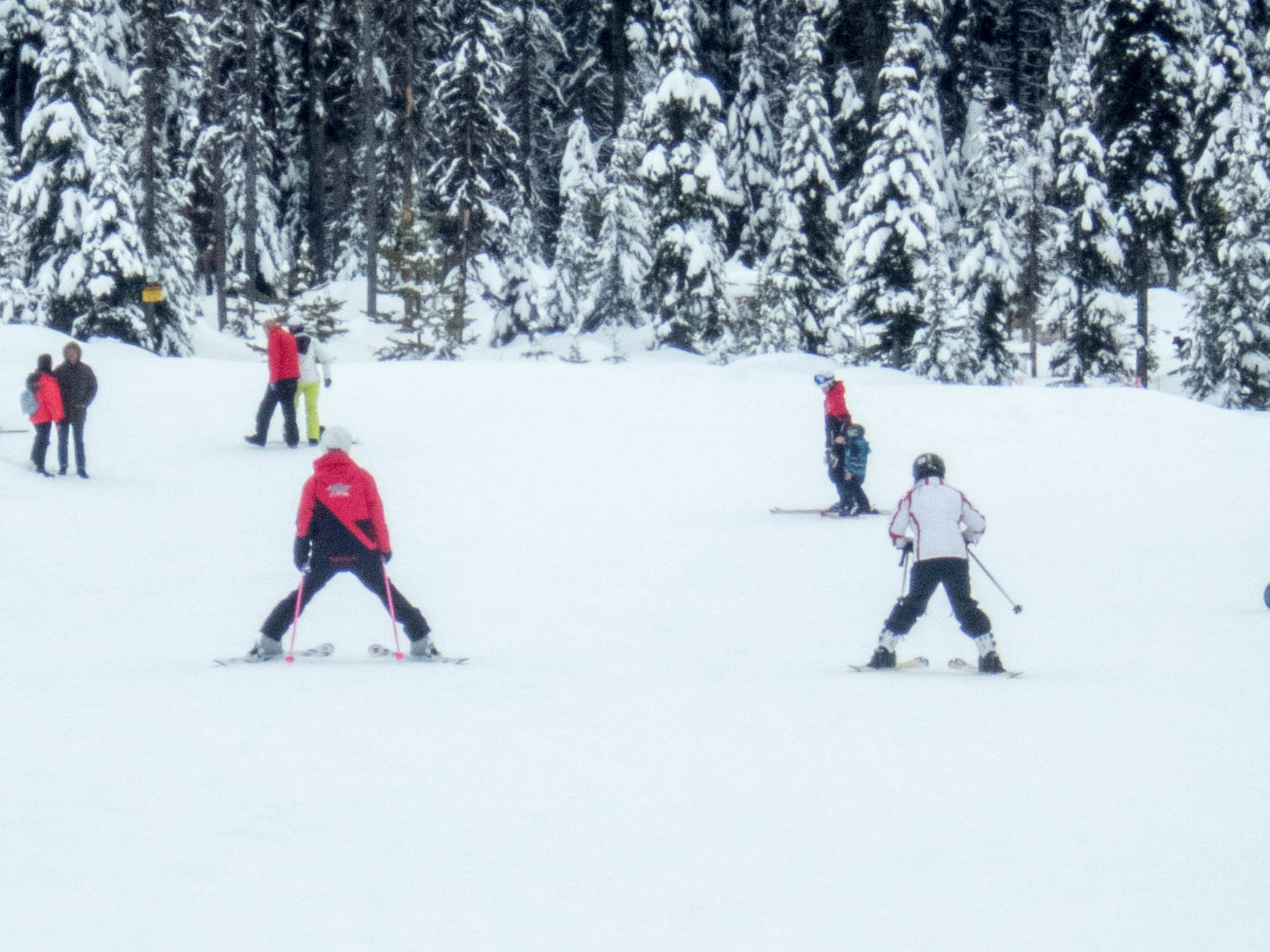 Woman takes ski lesson from an instructor - C gets his report card from his instructor at Big White