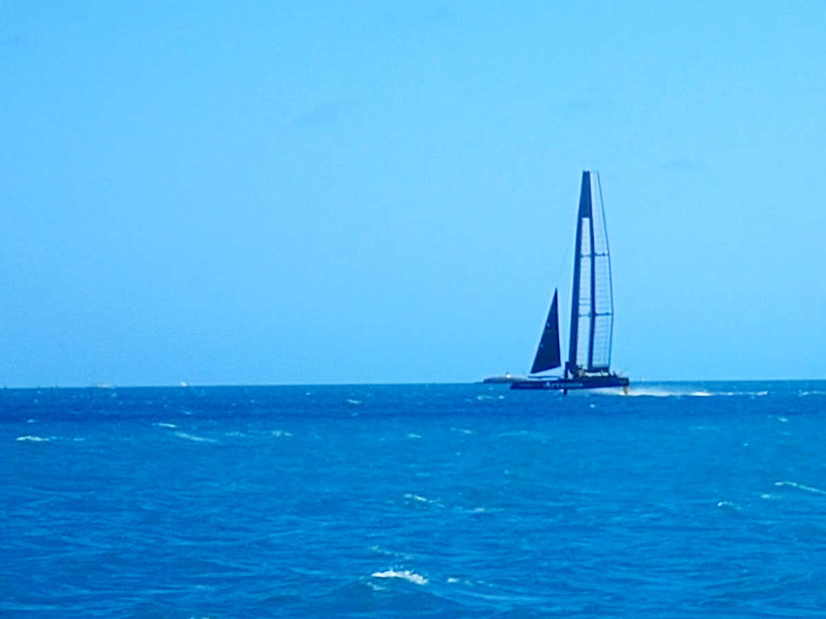The Artemis, an America's Cup racing sailboat skims across the waters in Bermuda - Boating in Bermuda