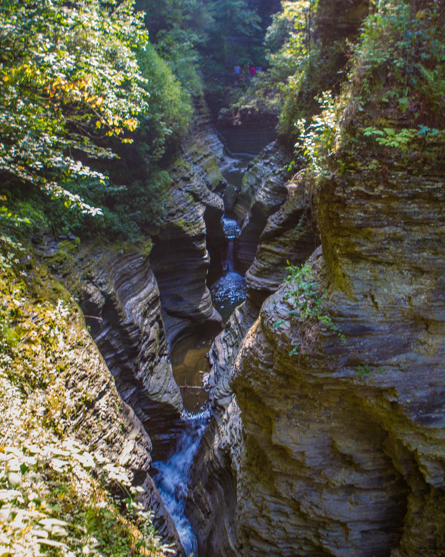 Looking down from the Sentry Bridge is a picturesque view of the gorge.