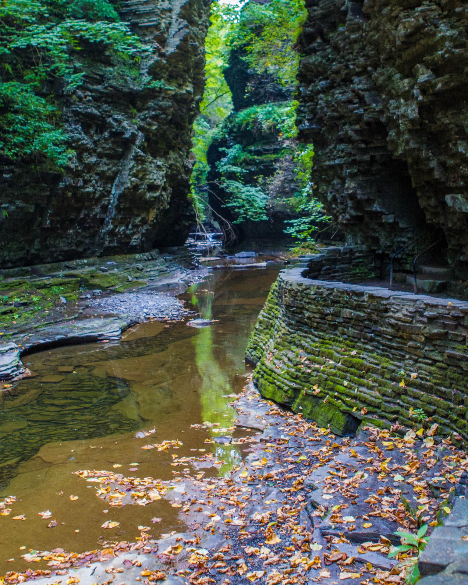 View of the river as seen before approaching the Narrows.