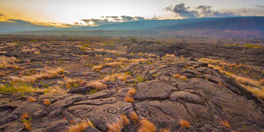 Petroglyphs are etched in the lava field at Volcanoes National Park in Hawaii