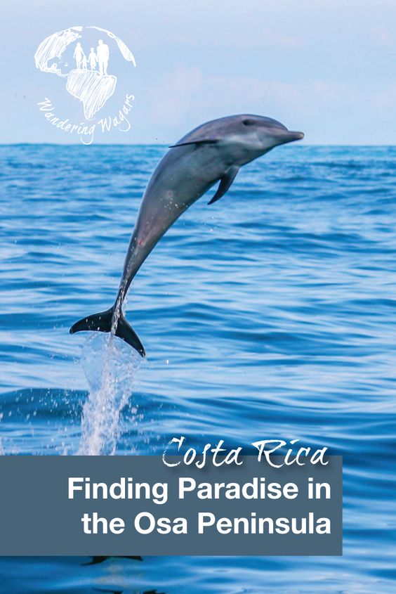 Costa Rica Finding Paradise on the Osa Peninsula - Pinterest