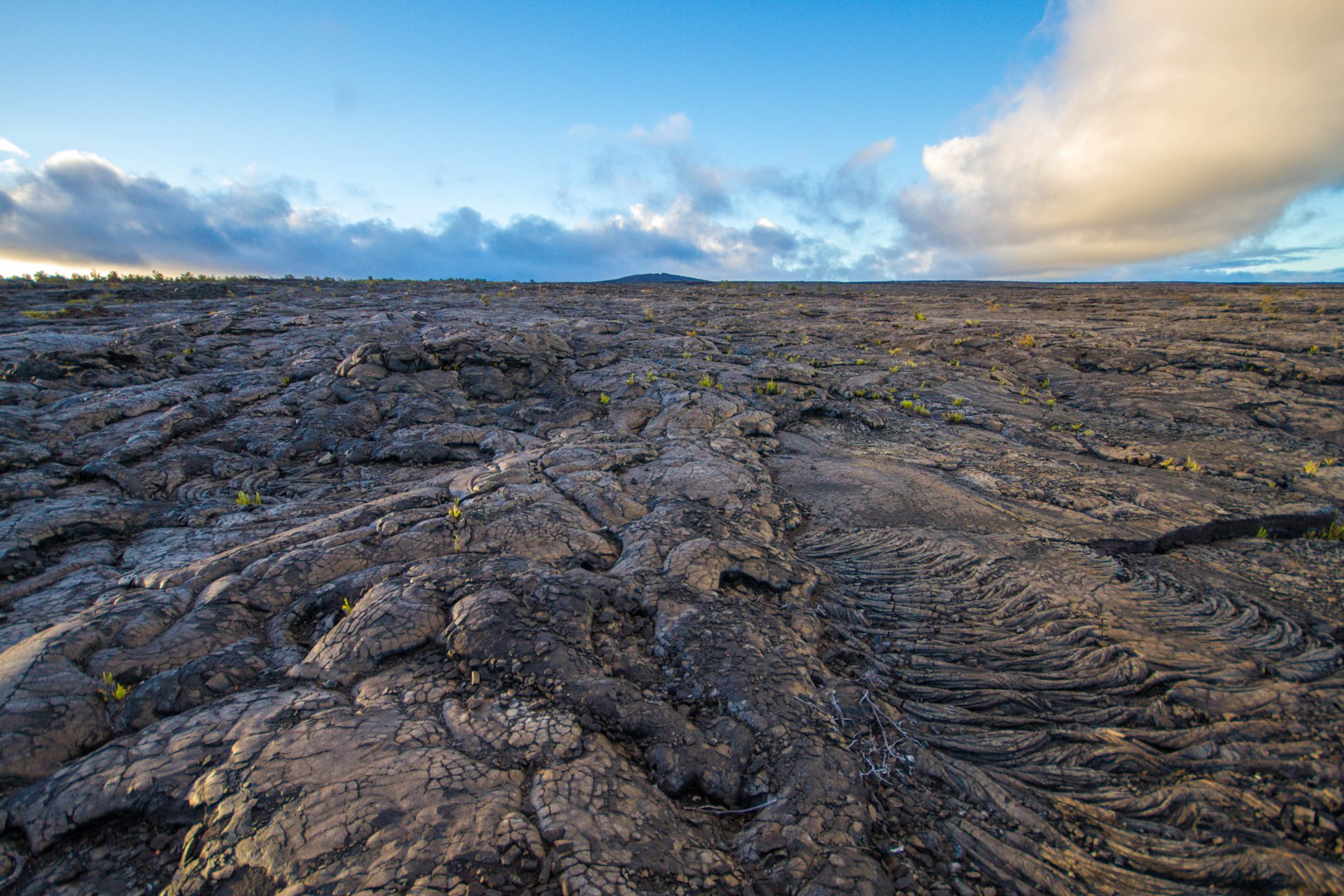 View of the East Rift Zone from the Chain of Craters Road in Hawaii Volcanoes National Park.