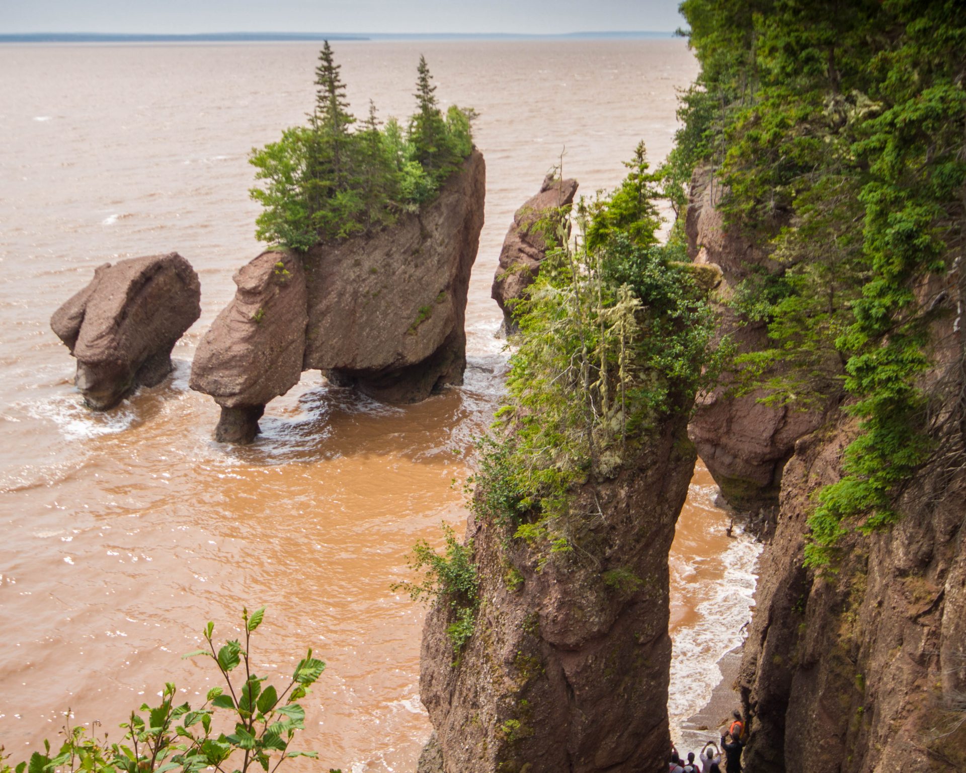 View of Hopewell Rocks from above during high tide.