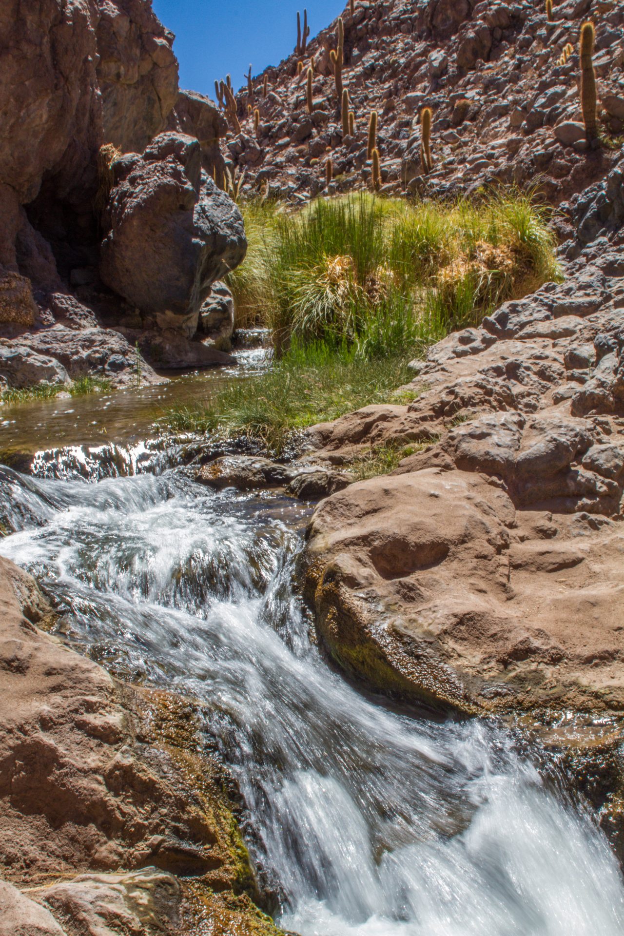 Waterfall in Cactus Valley.