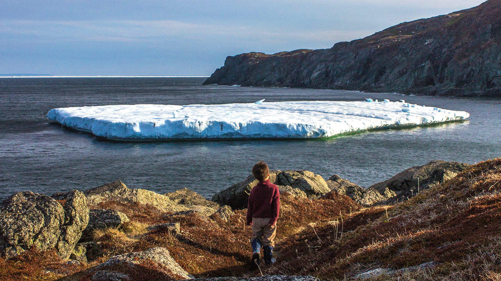 Young boy in red sweater walks along rocky coast towards an iceberg