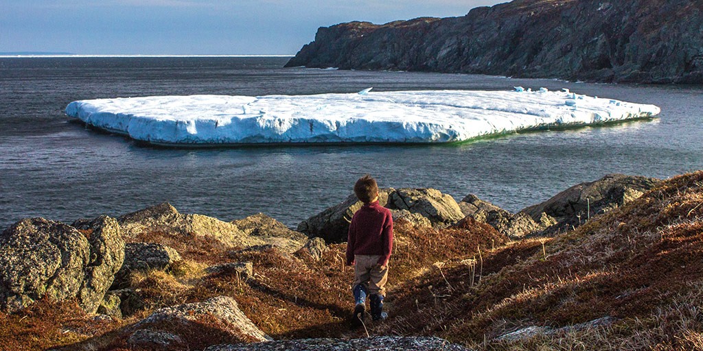 This is why you should take a trip to St Anthony Newfoundland