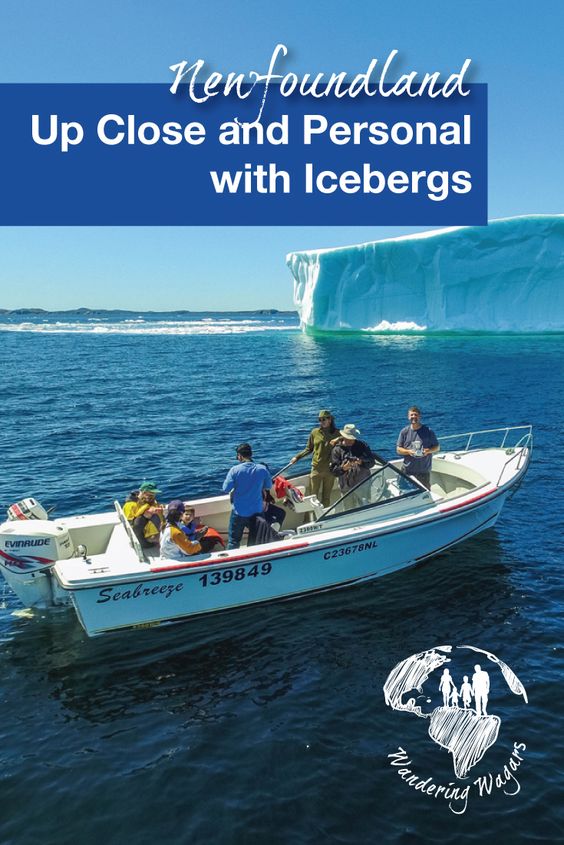 Newfoundland Up Close and Personal with Icebergs - Pinterest