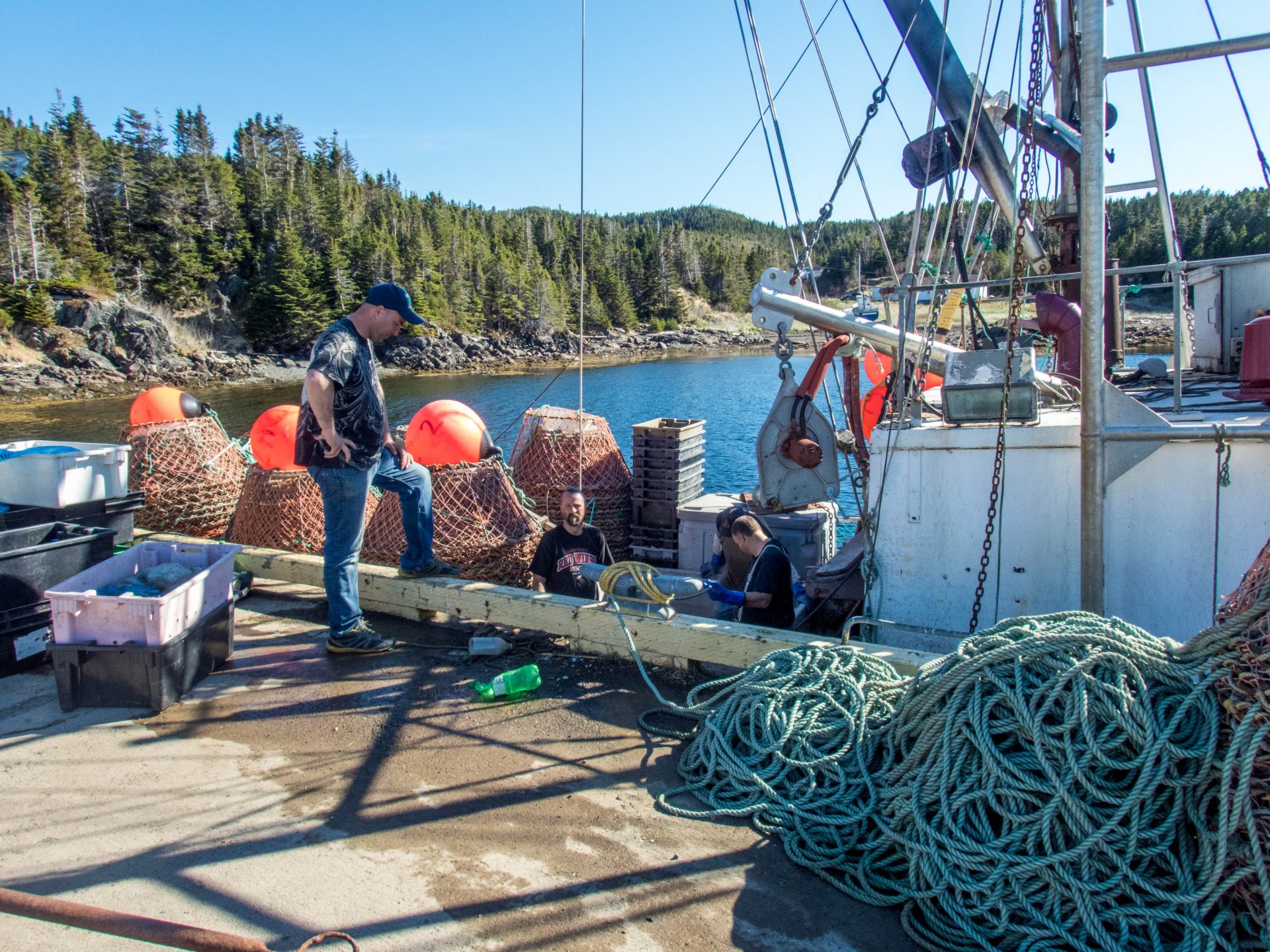 Crab fishermen in Twillingate Newfoundland