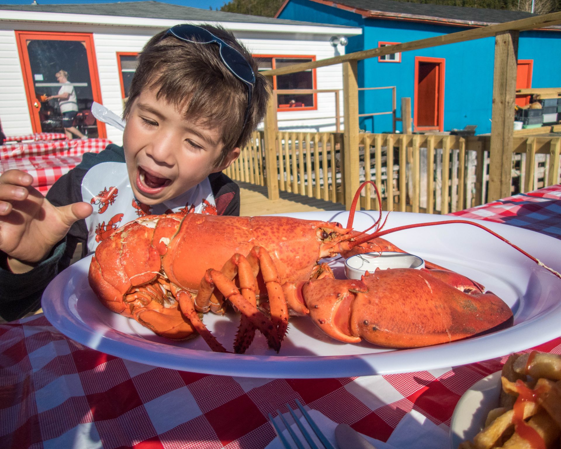 A young boy wearing a bib makes a funny face as he prepares to eat some lobster - Icebergs in Twillingate