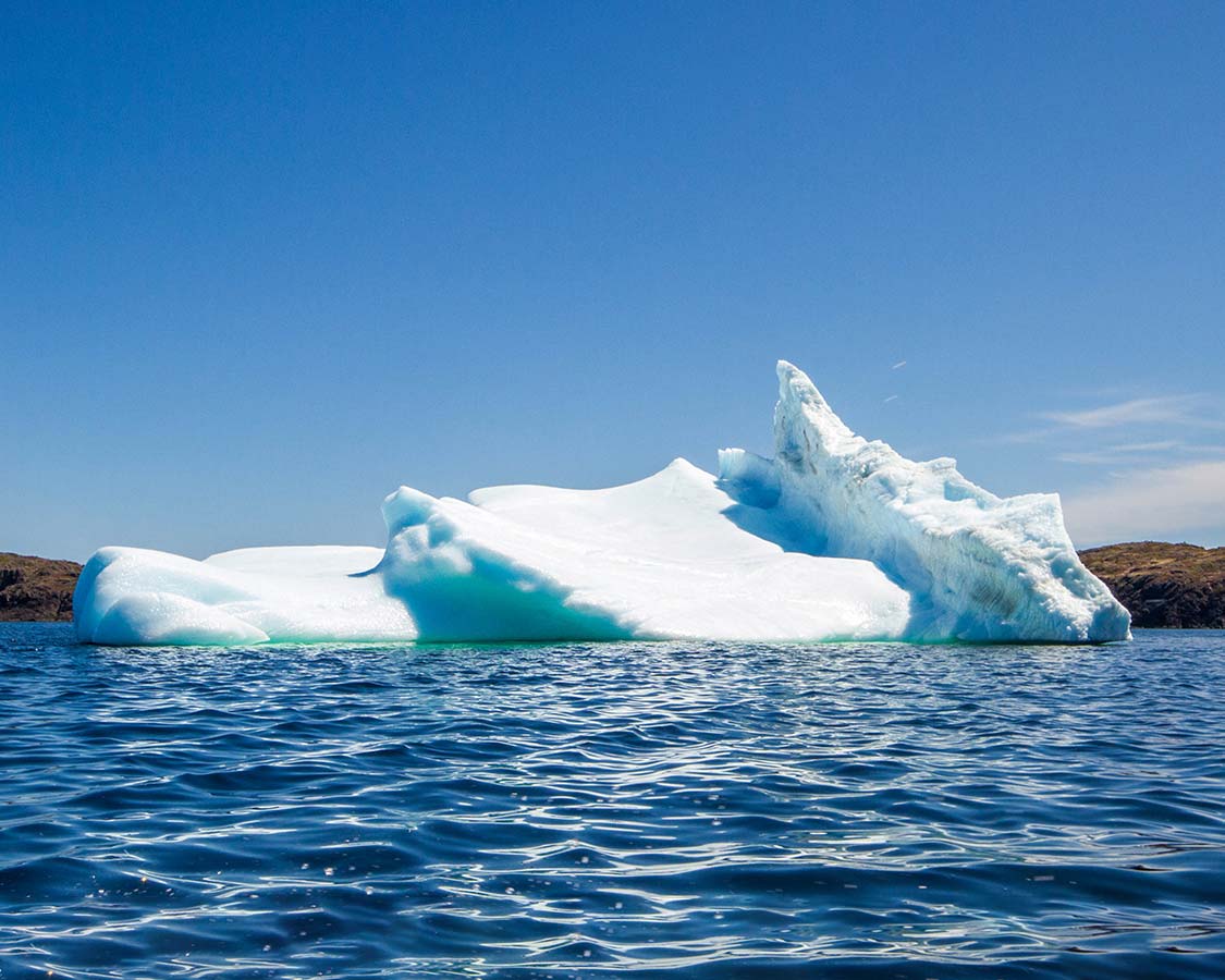 Twillingate Iceberg Tours in Newfoundland
