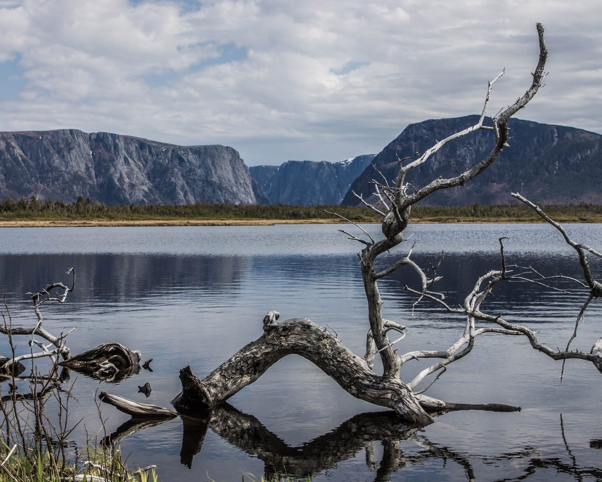 Log in the waters at Western Brook Pond in Gros Morne National Park one of our bucket list destinations in Canada.