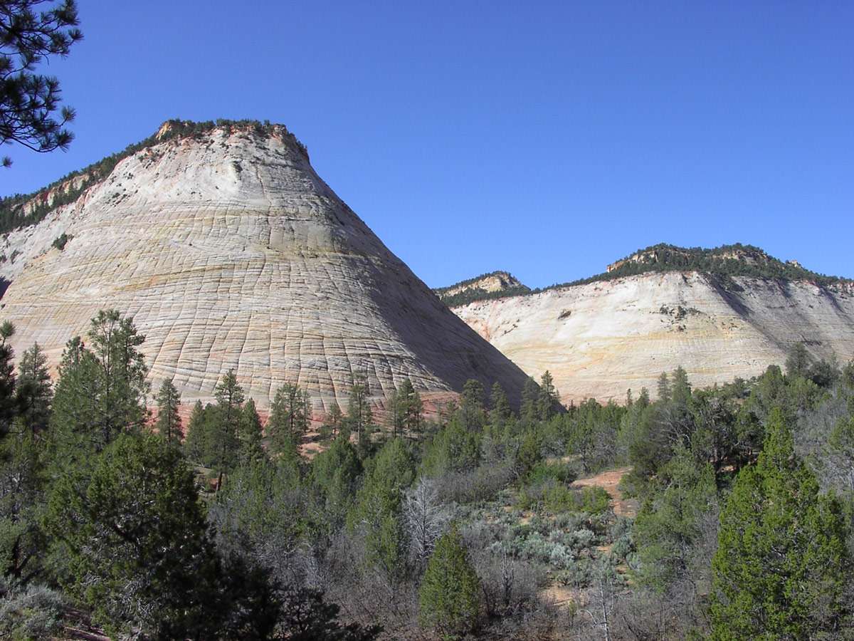 United States - Utah - Zion National Park