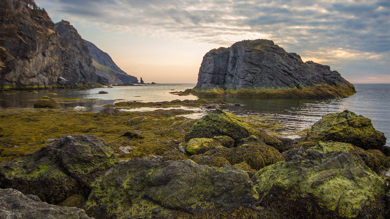 Rocks covered in green moss and tall cliffs along the coast of Gros Morne National Park in Newfoundland