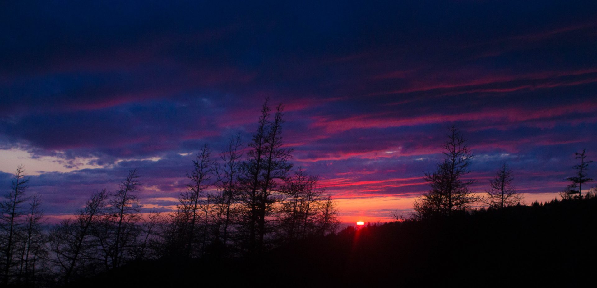 Purples, reds and blues light up the sky in a beautiful sunset over the forests of Gros Morne National Park - Hiking Green Gardens in Gros Morne National Park