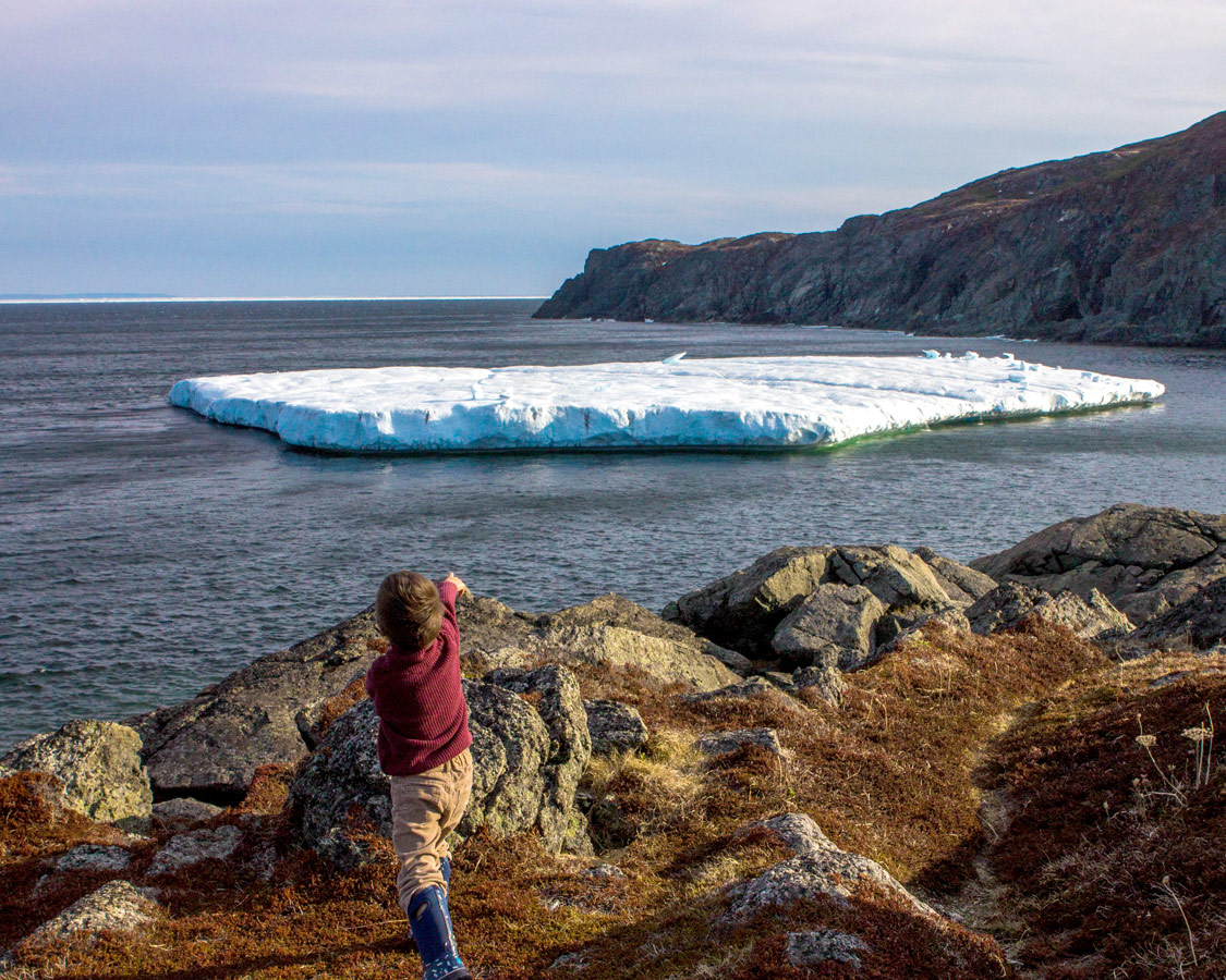 A young boy points off a rocky coast towards a large iceberg - Newfoundland Viking Trail