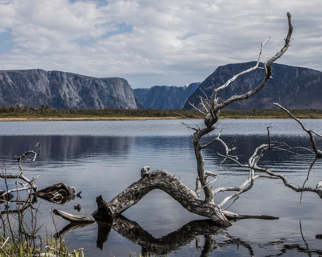 The cliffs of Western Brook Pond from the lowlands boardwalk - Newfoundland Viking Trail