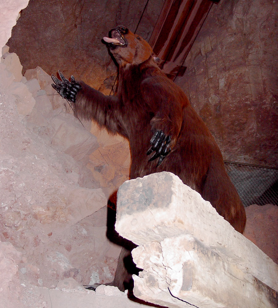 A stuffed giant sloth that once fell into the Grand Canyon Caverns - Caves you can visit with kids