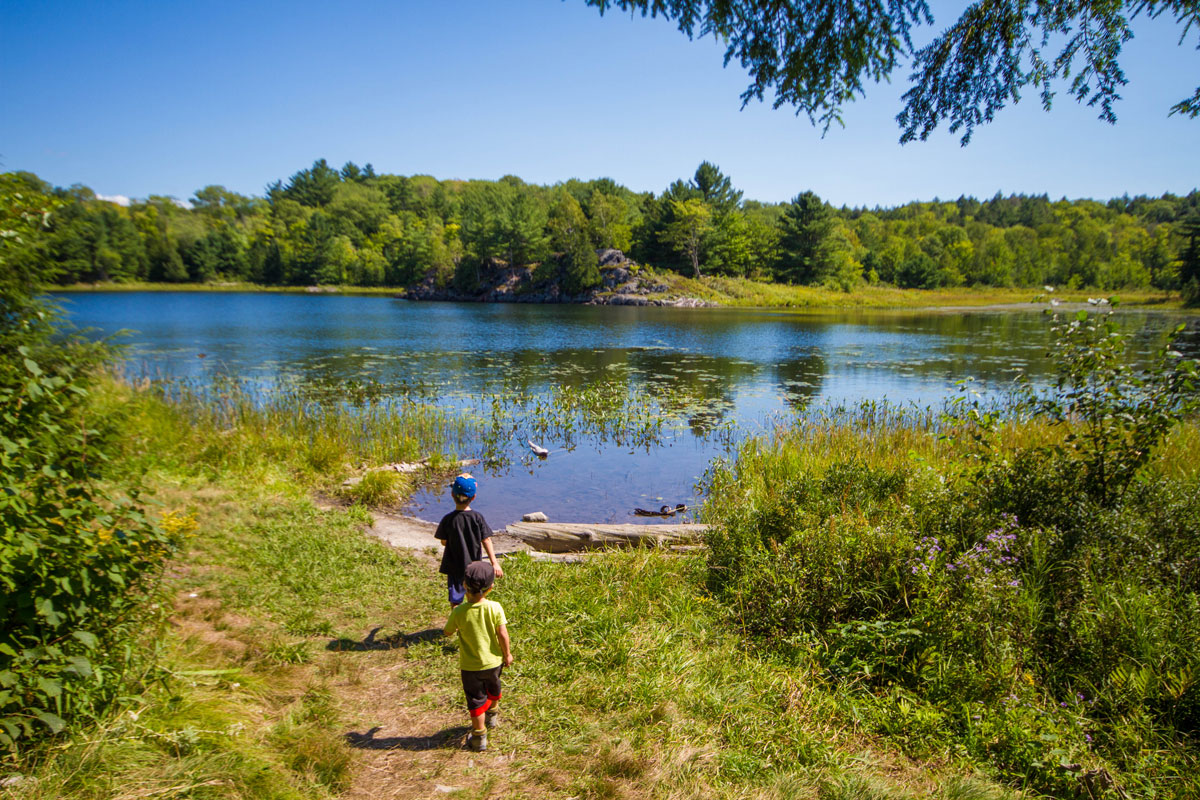 Two young boys walk towards a small lake in Ontario - Hiking the Crack in Killarney with Kids