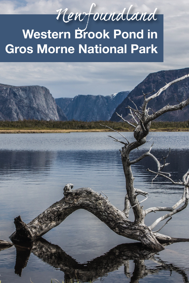 Exploring Western Brook Pond in Grose Morne National Park - Pinterest