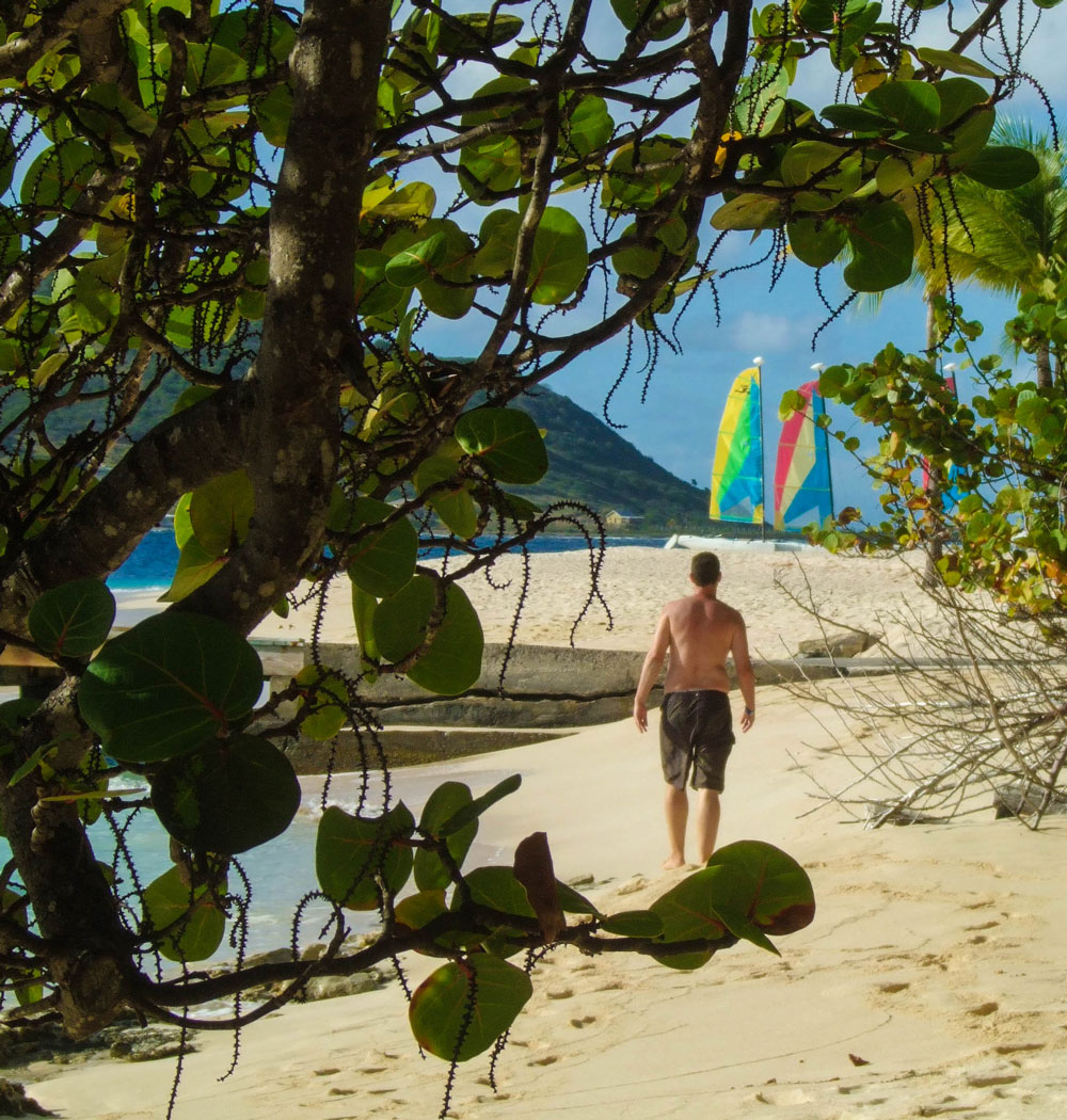 A man strolls down a beach while framed by palm trees - Swimming with turtles in the Tobago Cays