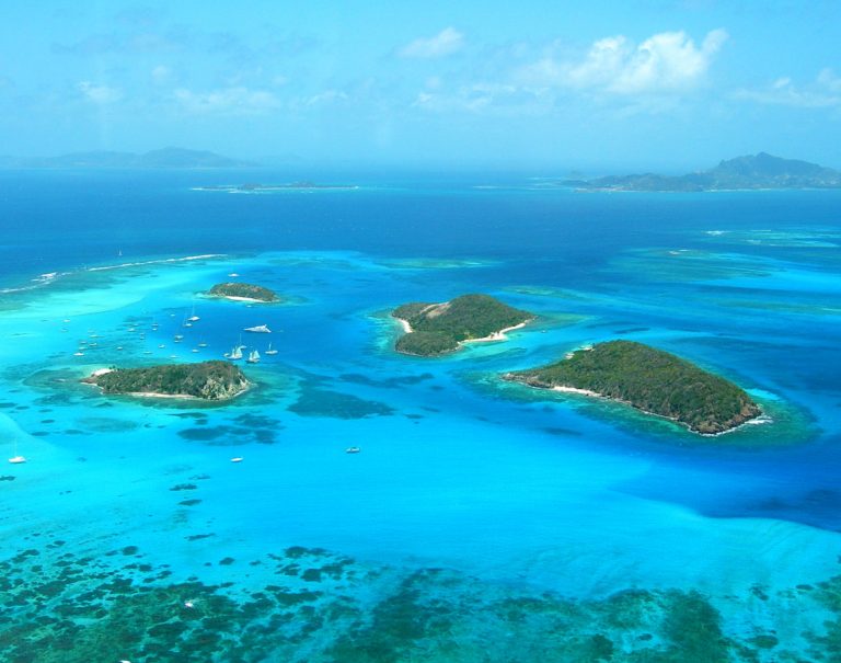 Swimming with Turtles in the Tobago Cays - Adventure Family Travel ...