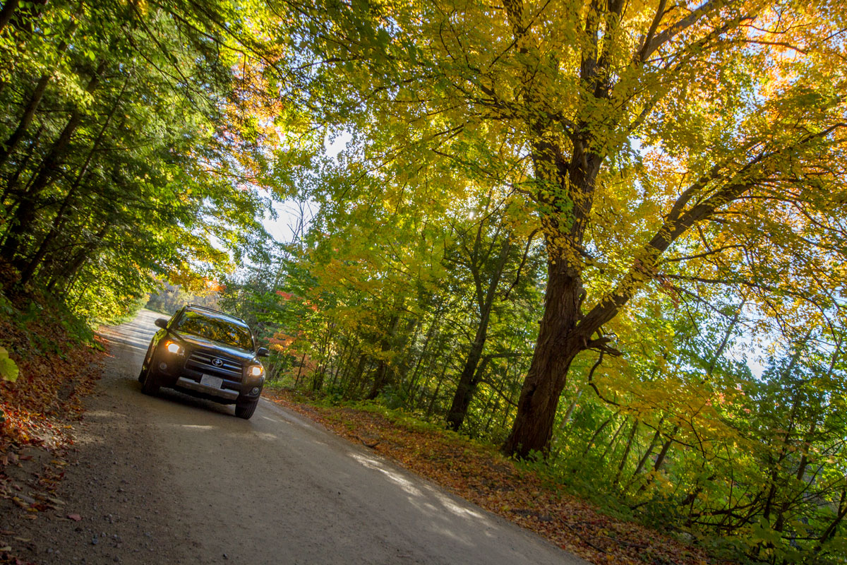 An SUV driving down a quiet road is one of the fun fall activities in Ontario, Canada.