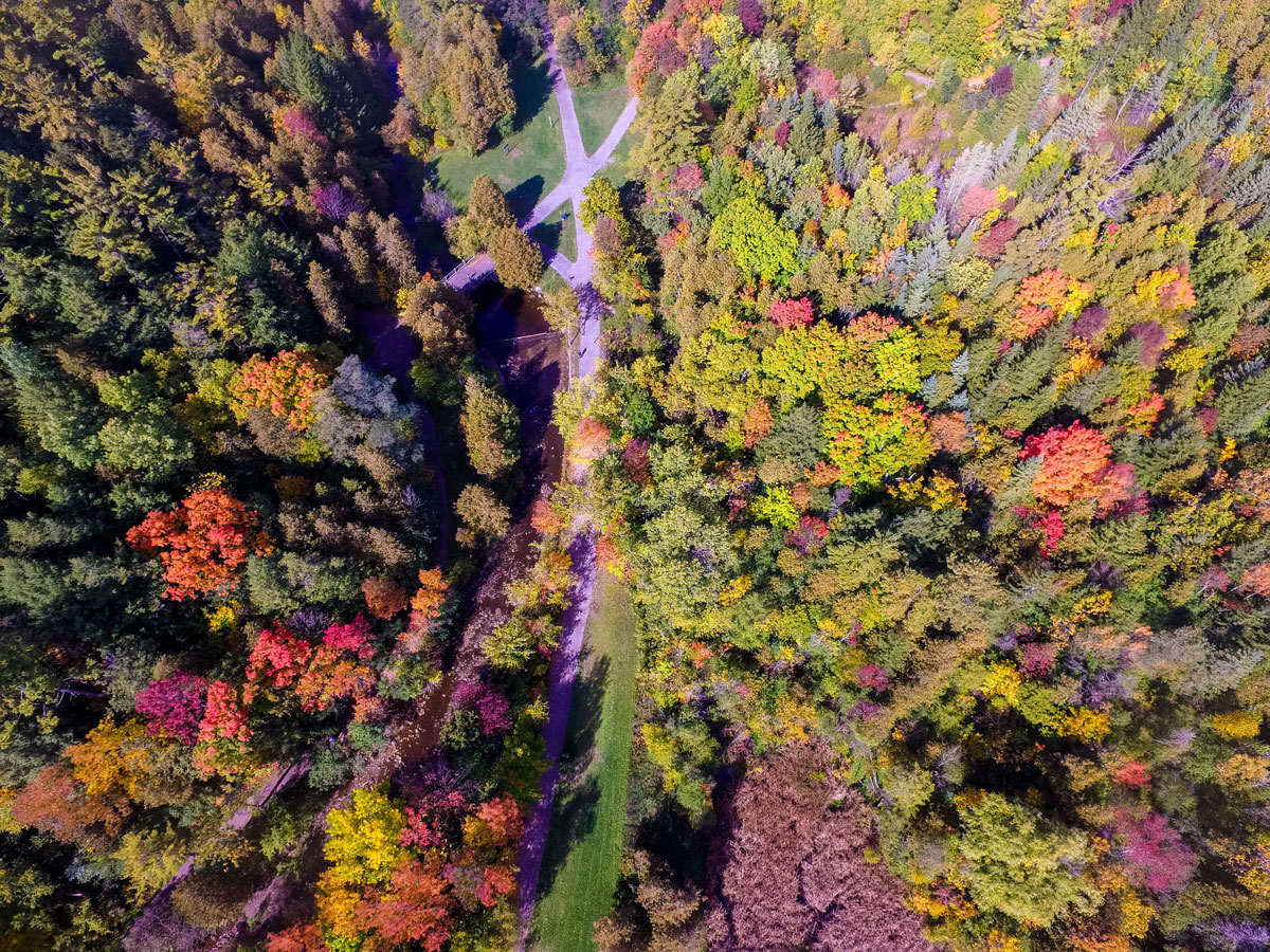 Aerial view of Jackson's Park in Peterborough, Ontario.